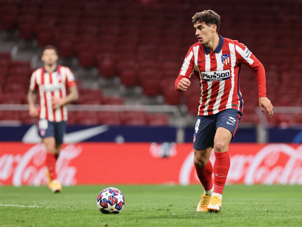 球衣号码不 球衣号码不